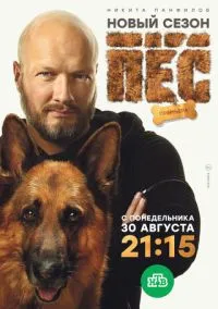 сериал Пёс 1-7 сезон смотреть онлайн на Лордфильм